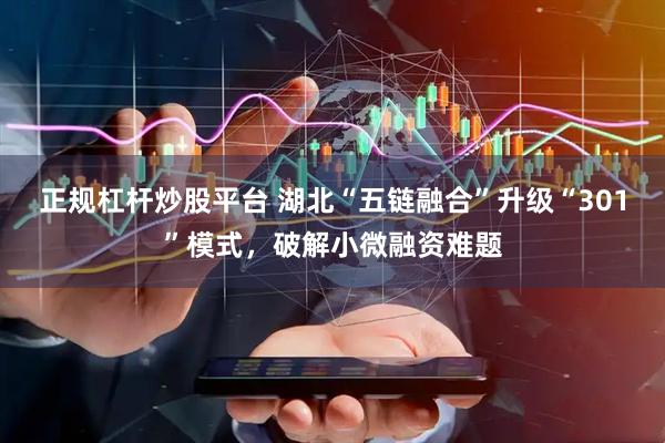 正规杠杆炒股平台 湖北“五链融合”升级“301”模式，破解小微融资难题