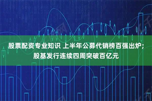 股票配资专业知识 上半年公募代销榜百强出炉;股基发行连续四周突破百亿元