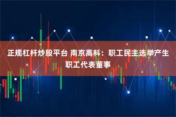 正规杠杆炒股平台 南京高科：职工民主选举产生职工代表董事