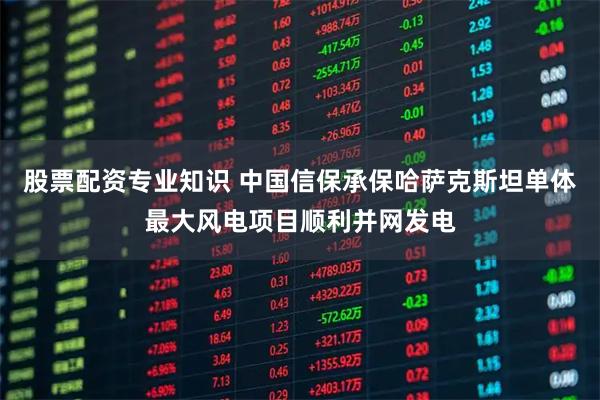 股票配资专业知识 中国信保承保哈萨克斯坦单体最大风电项目顺利并网发电